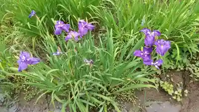 本土寺(千葉県)