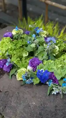 新琴似神社(北海道)