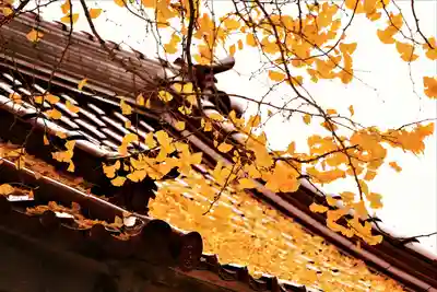 浄善寺のその他建物