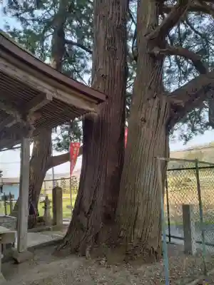 富沢磨崖仏郡(宮城県)