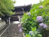 長慶寺(大阪府)