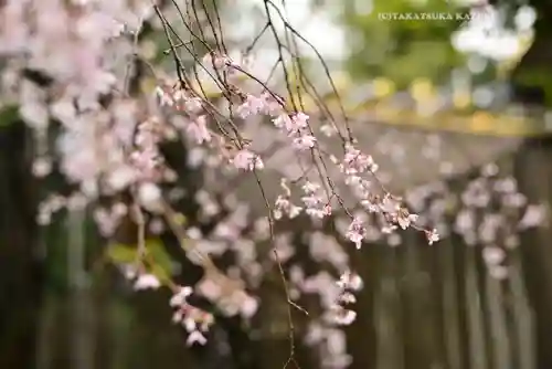 伊勢山皇大神宮(神奈川県)