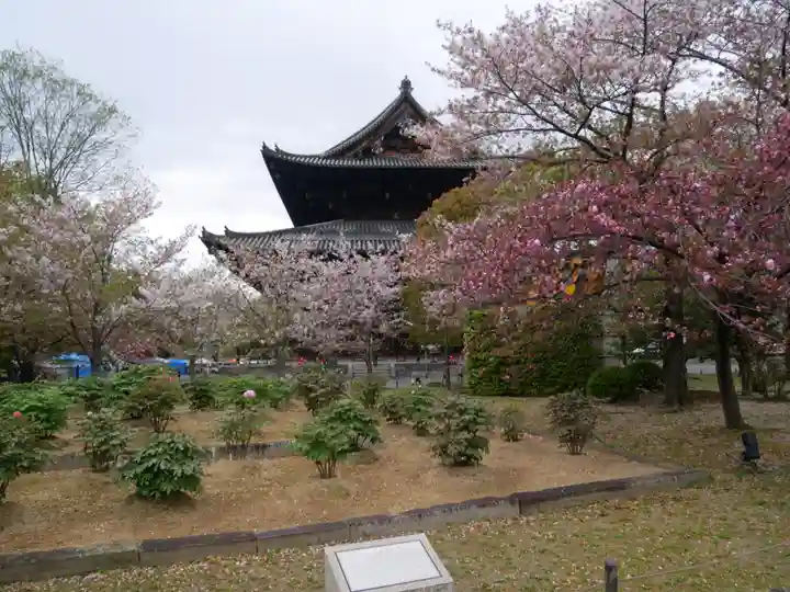 東寺(教王護国寺)の庭園