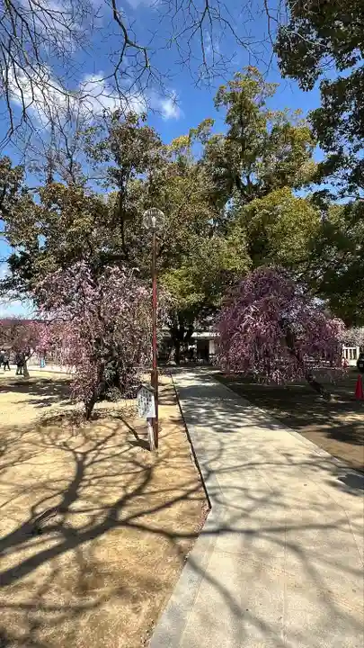 屯倉神社(大阪府)