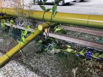 生田神社の手水舎