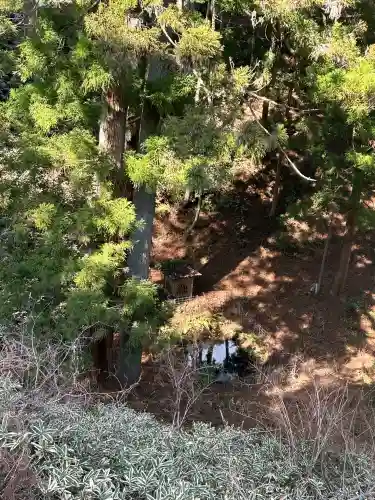 清澄寺の{uncategorized: "未分類", other: "その他", undefined: "問題あり", building: "その他建物", grave: "お墓", sacred_gate: "鳥居", guardian: "狛犬", statue: "像", buddha: "仏像", history: "歴史", nature: "自然", garden: "庭園", animal: "動物", pagoda: "塔", temizu: "手水舎", mountain_gate: "山門・神門", sanctuary: "本殿・本堂", subordinate: "末社・摂社", art: "芸術", scenery: "景色", jizo: "地蔵", ema: "絵馬", goshuin: "御朱印", omikuji: "おみくじ", items: "授与品その他", amulet: "お守り", goshuincho: "御朱印帳", eats: "食事", festival: "お祭り", votive_dance: "神楽", shichigosan: "七五三参", wedding: "結婚式", experience: "体験その他", initially: "初詣", around: "周辺", anti_infection: "感染症対策"}