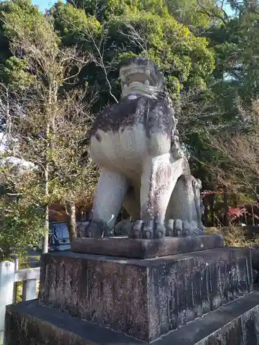 武田神社の狛犬