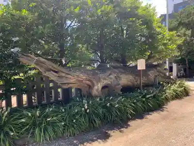 瀬戸神社(神奈川県)