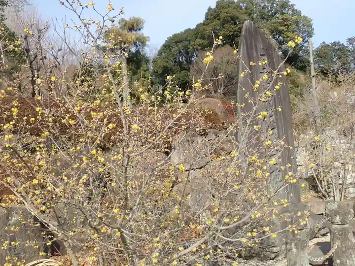 横浜 西方寺(神奈川県)