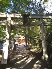 小金井神社の鳥居