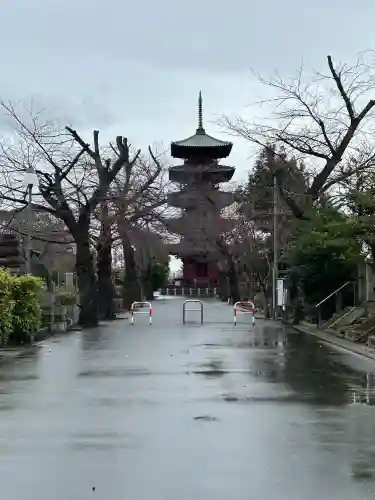 池上本門寺の{uncategorized: "未分類", other: "その他", undefined: "問題あり", building: "その他建物", grave: "お墓", sacred_gate: "鳥居", guardian: "狛犬", statue: "像", buddha: "仏像", history: "歴史", nature: "自然", garden: "庭園", animal: "動物", pagoda: "塔", temizu: "手水舎", mountain_gate: "山門・神門", sanctuary: "本殿・本堂", subordinate: "末社・摂社", art: "芸術", scenery: "景色", jizo: "地蔵", ema: "絵馬", goshuin: "御朱印", omikuji: "おみくじ", items: "授与品その他", amulet: "お守り", goshuincho: "御朱印帳", eats: "食事", festival: "お祭り", votive_dance: "神楽", shichigosan: "七五三参", wedding: "結婚式", experience: "体験その他", initially: "初詣", around: "周辺", anti_infection: "感染症対策"}