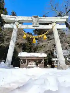 天鷹神社(岐阜県)(2025年03月04日(火) 23時01分17秒投稿)