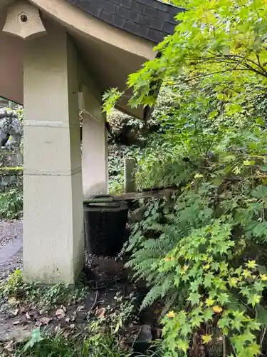 戸隠神社奥社(長野県)