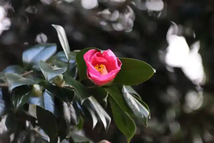鹿島大神宮(福島県)