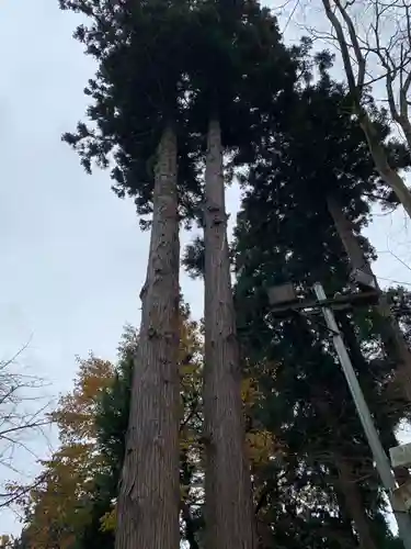 櫛引八幡宮の自然