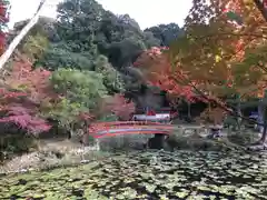 大原野神社の庭園