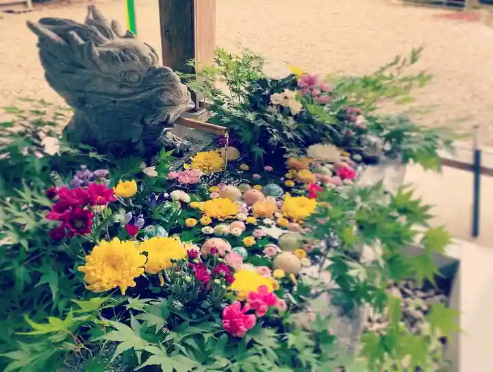 滑川神社 - 仕事と子どもの守り神の手水舎