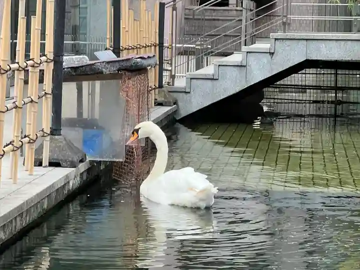 頂法寺(六角堂)(京都府)