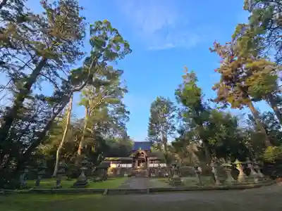 走田神社(京都府)