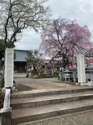 洞昌院(神奈川県)