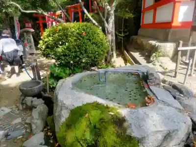 天開稲荷社の手水舎