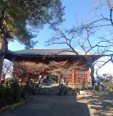 養玉院如来寺(東京都)