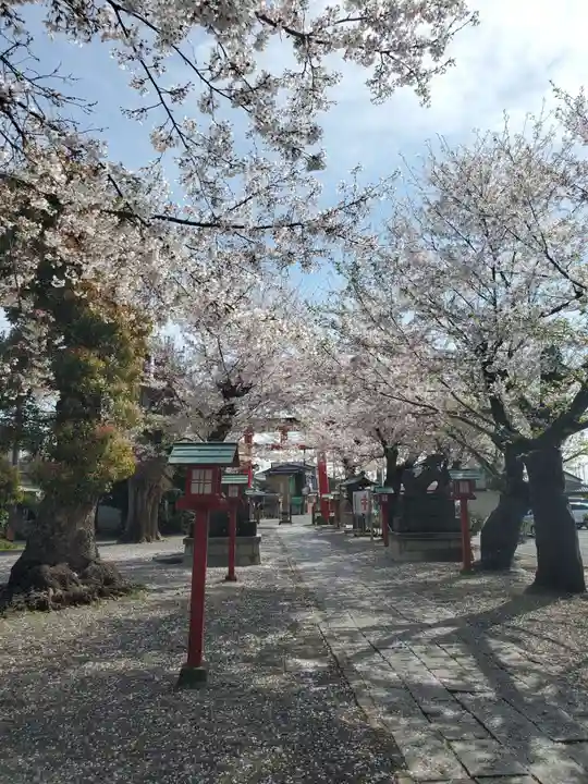 鷲宮神社(埼玉県)
