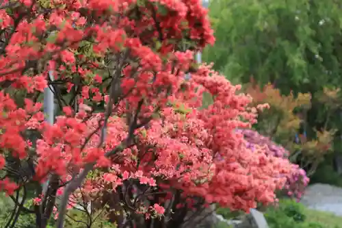 豊景神社の庭園