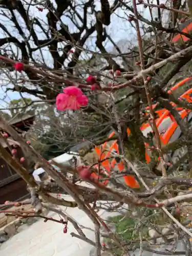 賀茂御祖神社（下鴨神社）の自然