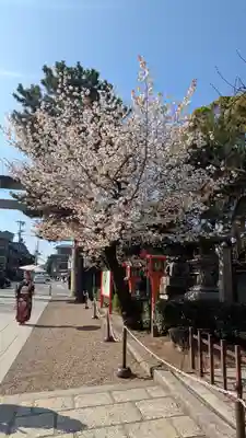 八坂神社(祇園さん)(京都府)