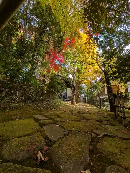 大正寺(東京都)