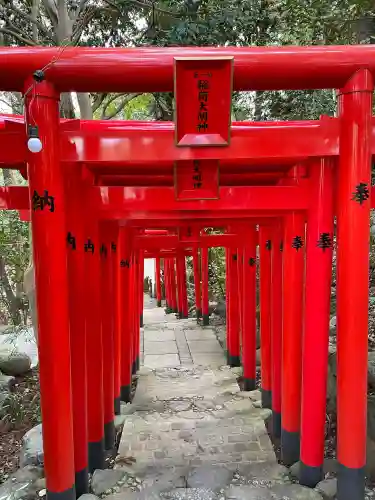 白笹稲荷神社の{uncategorized: "未分類", other: "その他", undefined: "問題あり", building: "その他建物", grave: "お墓", sacred_gate: "鳥居", guardian: "狛犬", statue: "像", buddha: "仏像", history: "歴史", nature: "自然", garden: "庭園", animal: "動物", pagoda: "塔", temizu: "手水舎", mountain_gate: "山門・神門", sanctuary: "本殿・本堂", subordinate: "末社・摂社", art: "芸術", scenery: "景色", jizo: "地蔵", ema: "絵馬", goshuin: "御朱印", omikuji: "おみくじ", items: "授与品その他", amulet: "お守り", goshuincho: "御朱印帳", eats: "食事", festival: "お祭り", votive_dance: "神楽", shichigosan: "七五三参", wedding: "結婚式", experience: "体験その他", initially: "初詣", around: "周辺", anti_infection: "感染症対策"}
