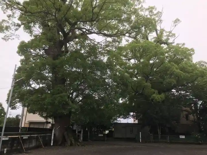 下清水八幡神社の自然