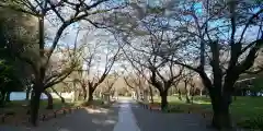 平野神社の自然