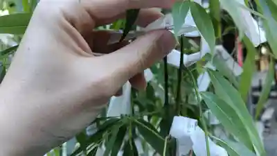 頂法寺（六角堂）(京都府)