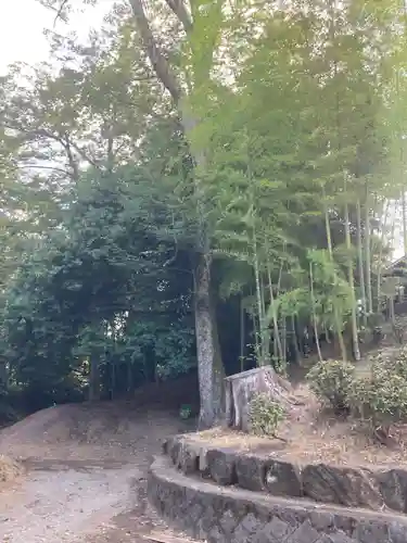 喜多院(埼玉県)