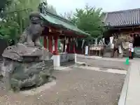 浅草神社の狛犬
