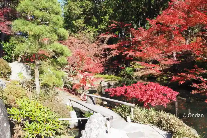 くろ谷 金戒光明寺(京都府)