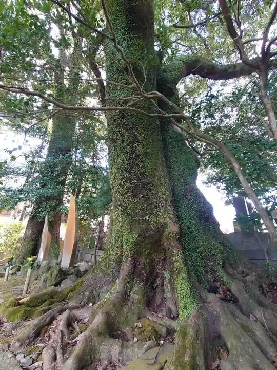 早雲寺(神奈川県)