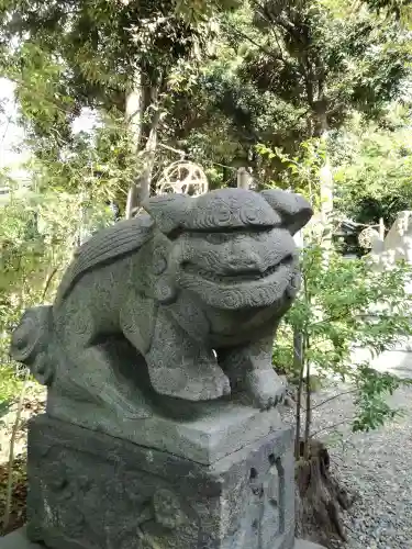 菊田神社の狛犬