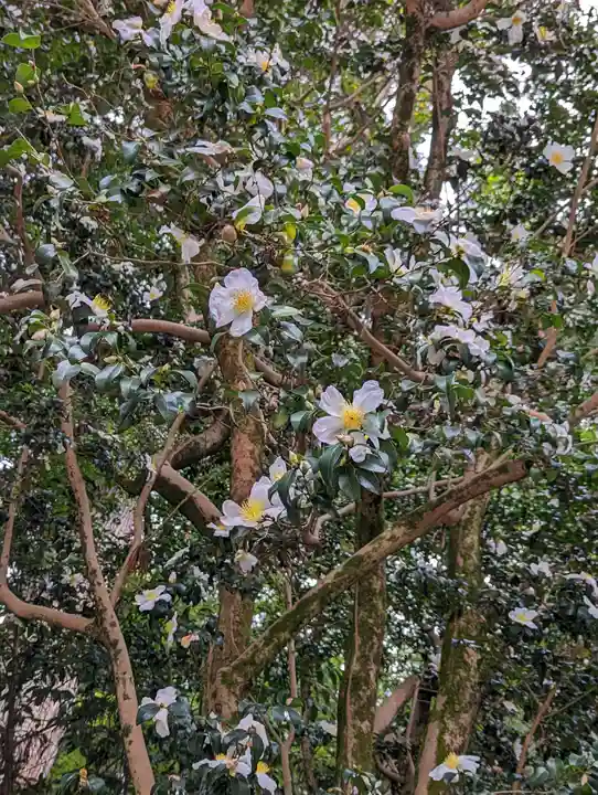 八大神社の自然