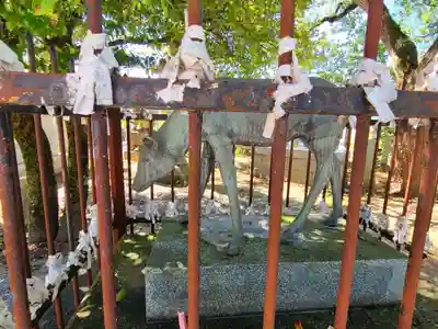 春日神社(福岡県)