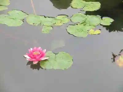 定願寺(栃木県)