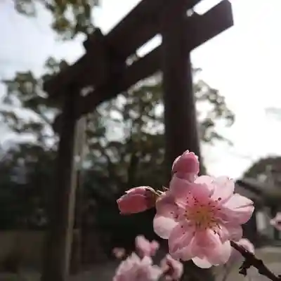 豊山八幡神社(福岡県)