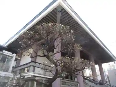 常圓寺(東京都)