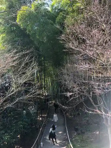 高台寺（高台寿聖禅寺・高臺寺）(京都府)
