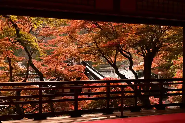 柳谷観音 楊谷寺(京都府)