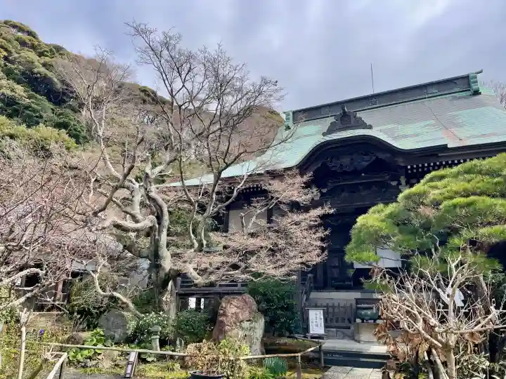 妙法寺の{uncategorized: "未分類", other: "その他", undefined: "問題あり", building: "その他建物", grave: "お墓", sacred_gate: "鳥居", guardian: "狛犬", statue: "像", buddha: "仏像", history: "歴史", nature: "自然", garden: "庭園", animal: "動物", pagoda: "塔", temizu: "手水舎", mountain_gate: "山門・神門", sanctuary: "本殿・本堂", subordinate: "末社・摂社", art: "芸術", scenery: "景色", jizo: "地蔵", ema: "絵馬", goshuin: "御朱印", omikuji: "おみくじ", items: "授与品その他", amulet: "お守り", goshuincho: "御朱印帳", eats: "食事", festival: "お祭り", votive_dance: "神楽", shichigosan: "七五三参", wedding: "結婚式", experience: "体験その他", initially: "初詣", around: "周辺", anti_infection: "感染症対策"}