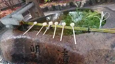 安井金比羅宮の手水舎