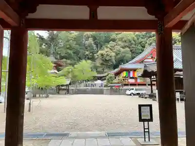 金剛寺(大阪府)